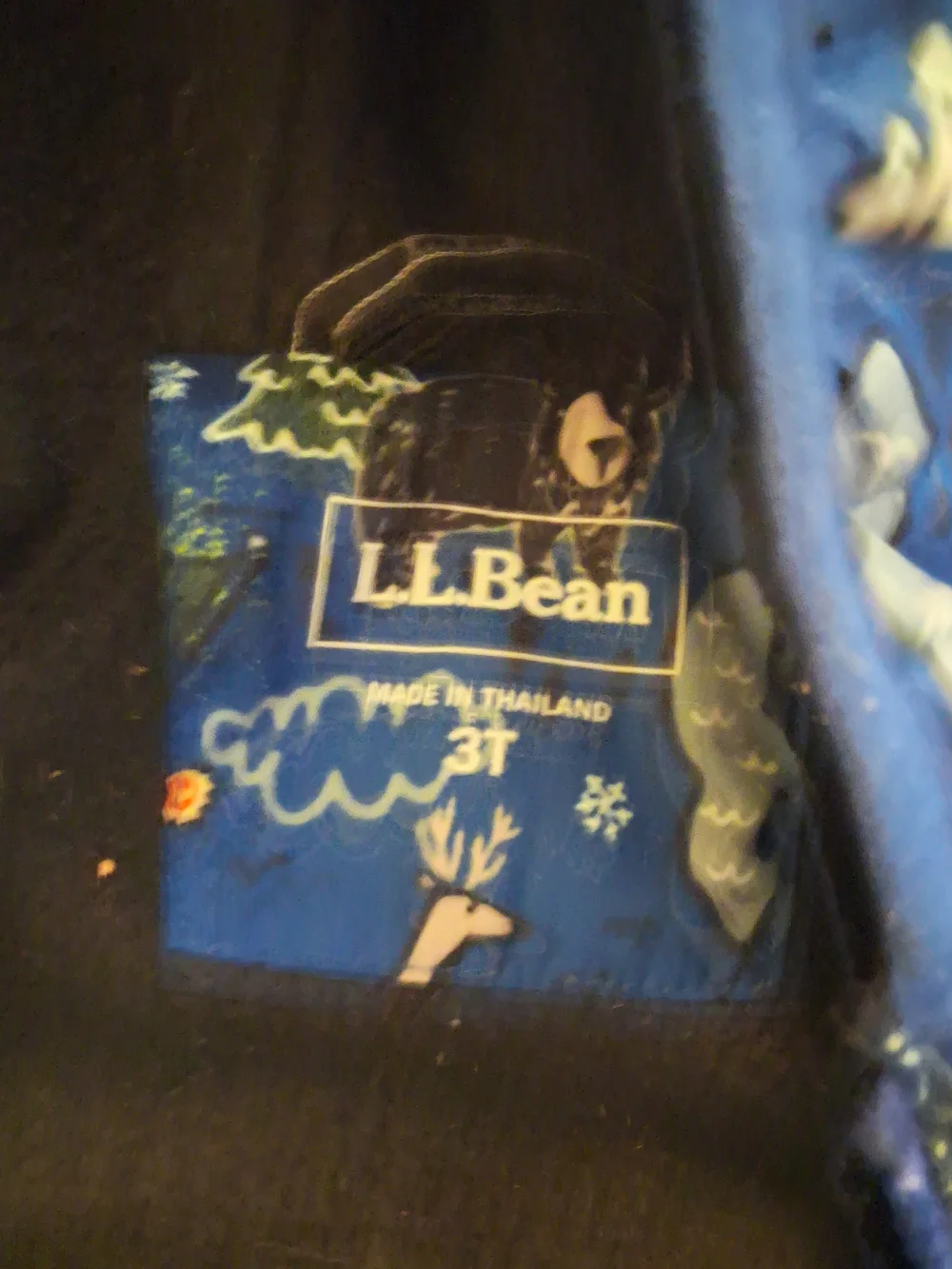 L.L. Bean cozy hooded